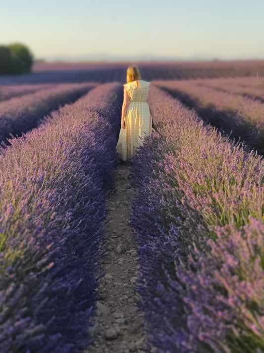My French Scent Journey July 2023