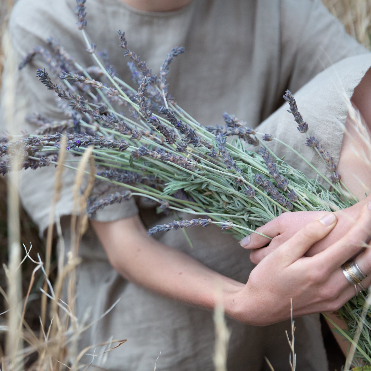 Lavande Pure Essential Oil