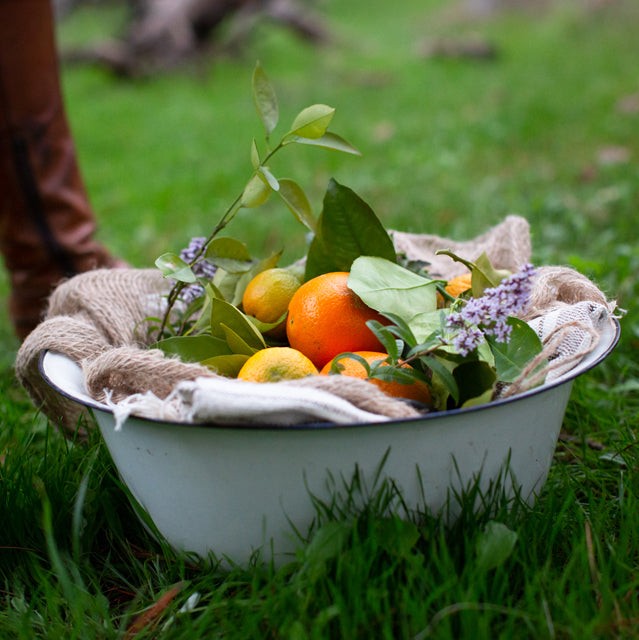 Citrus & Sage Botanical Perfume