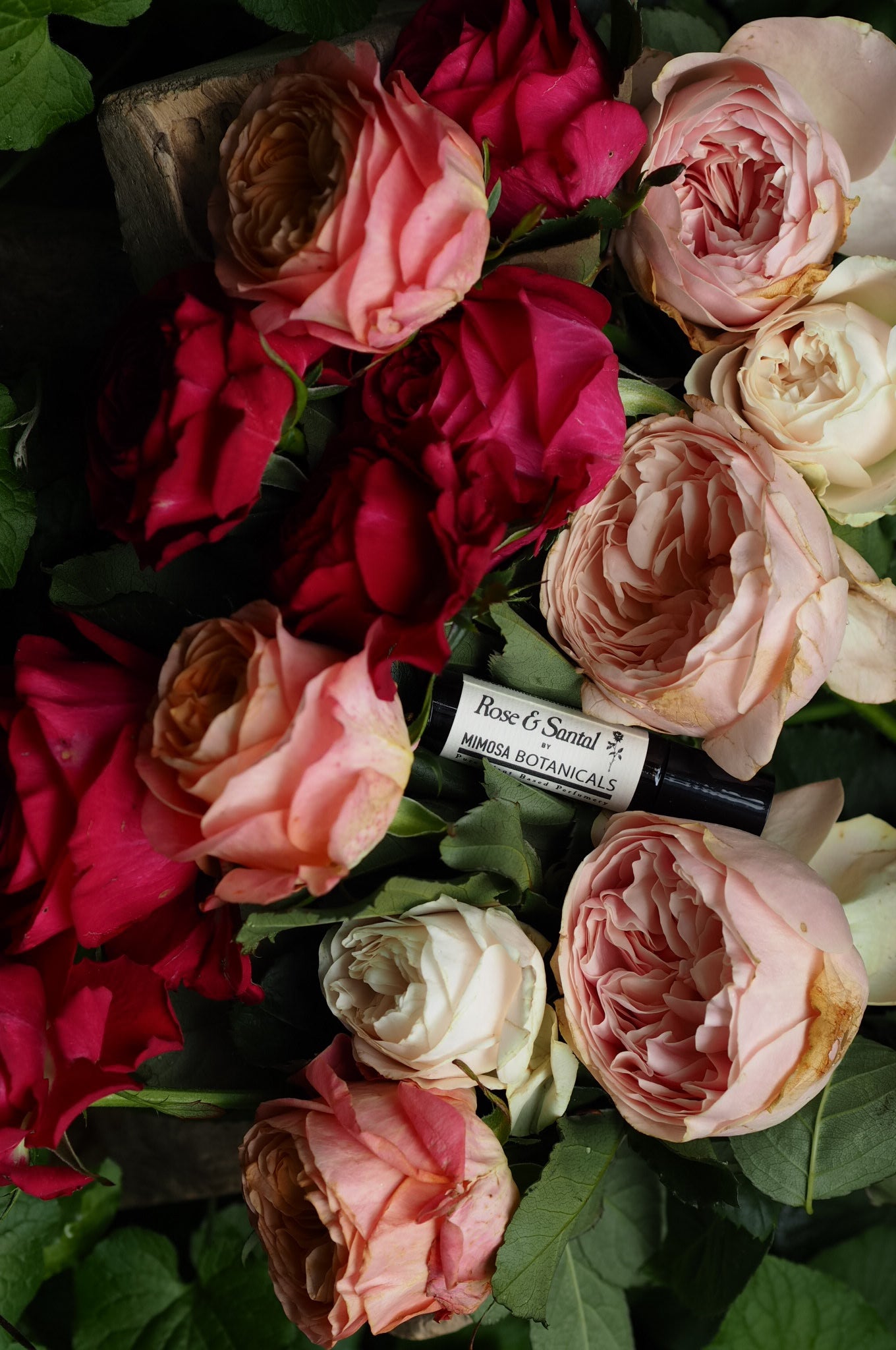 The Rose Collection