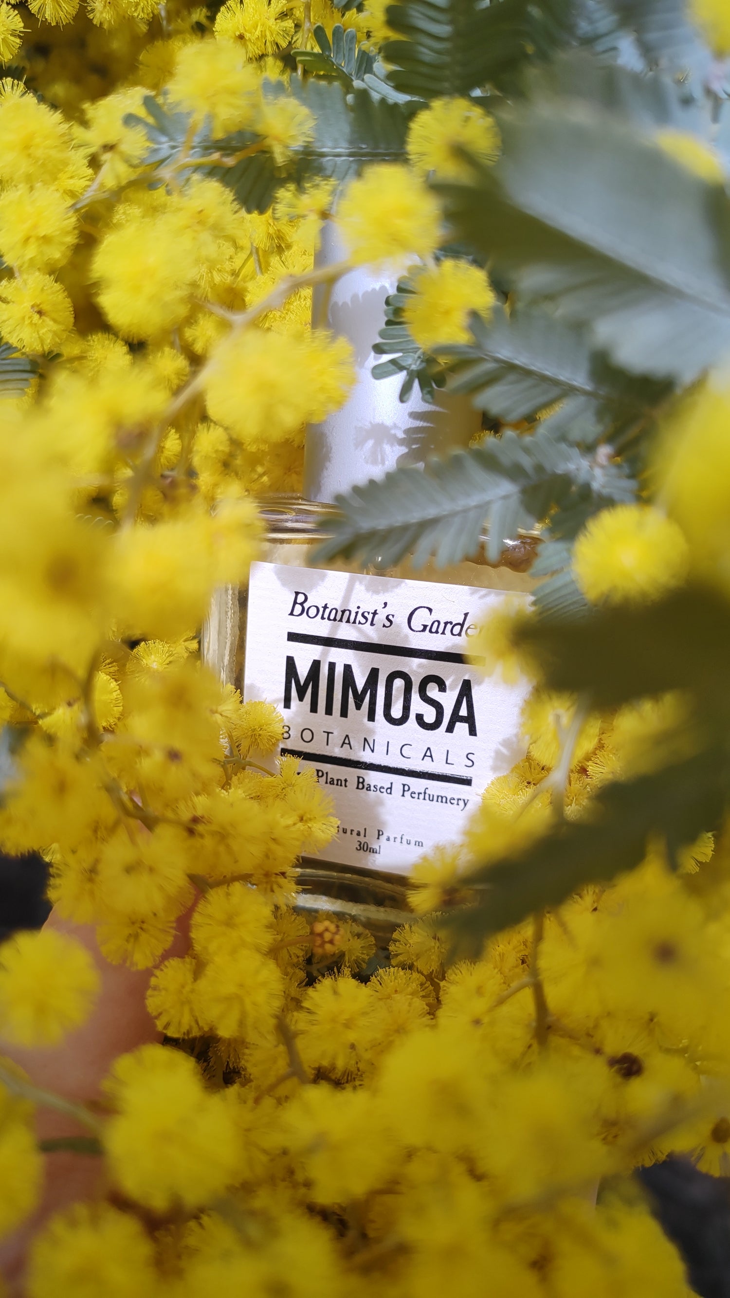 Spring Collection by Mimosa Botanicals