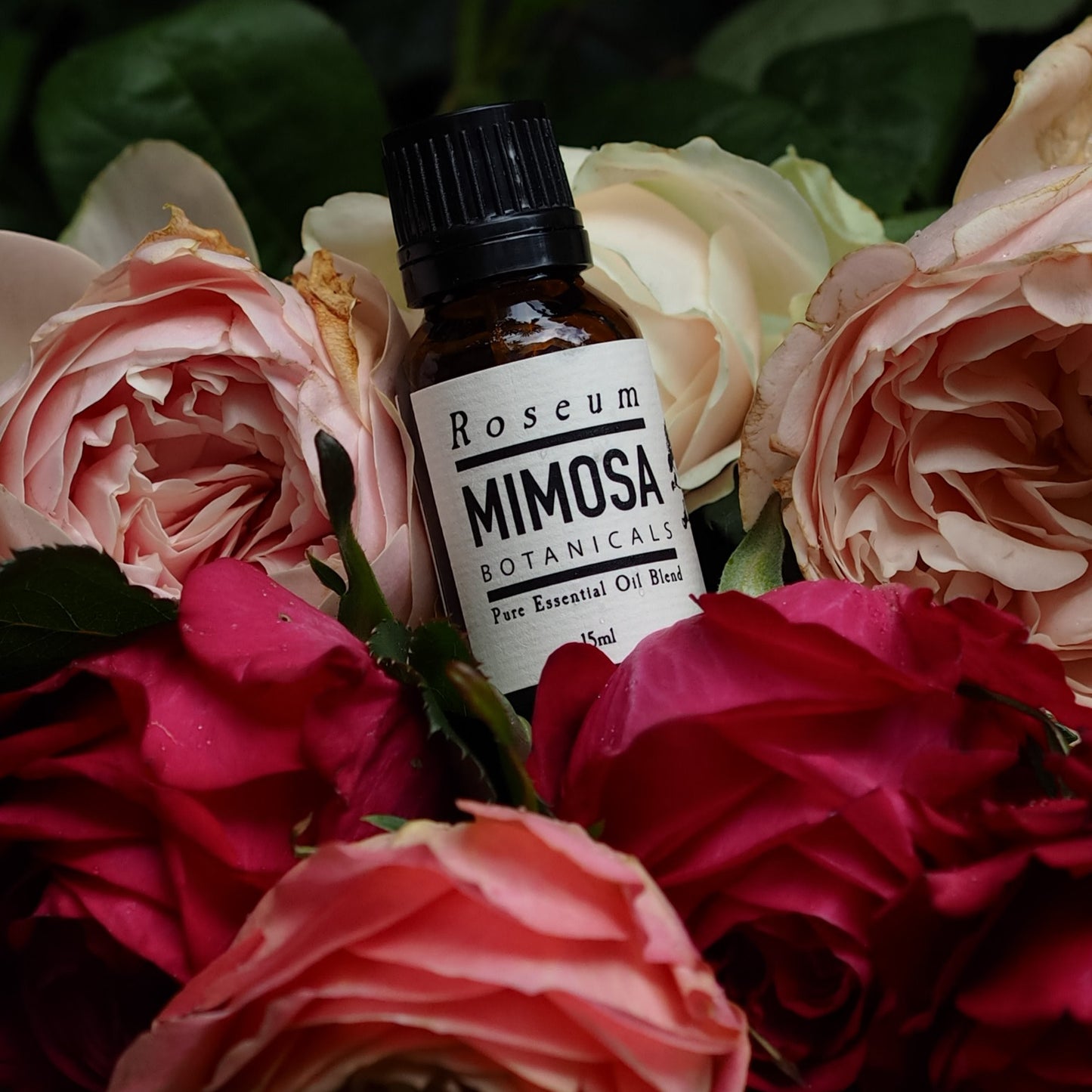 Roseum Essential Oil Blend